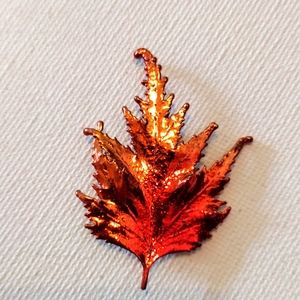 Beautiful Autumn color leaf brooch.